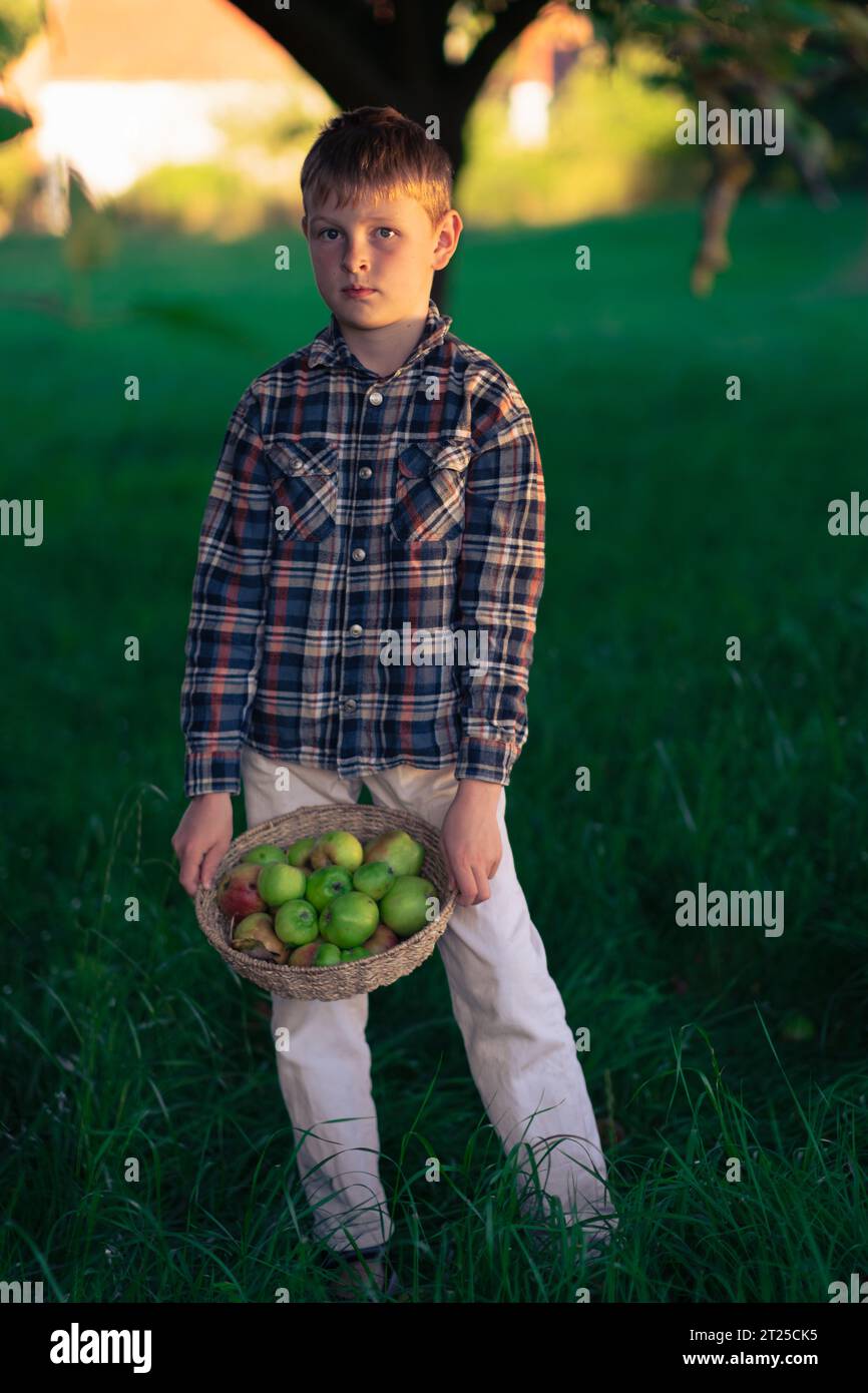 Un bel ragazzo con una camicia a quadri e pantaloni bianchi posa in un frutteto di mele con un cesto di mele. Un ragazzo raccoglie le mele in giardino Foto Stock