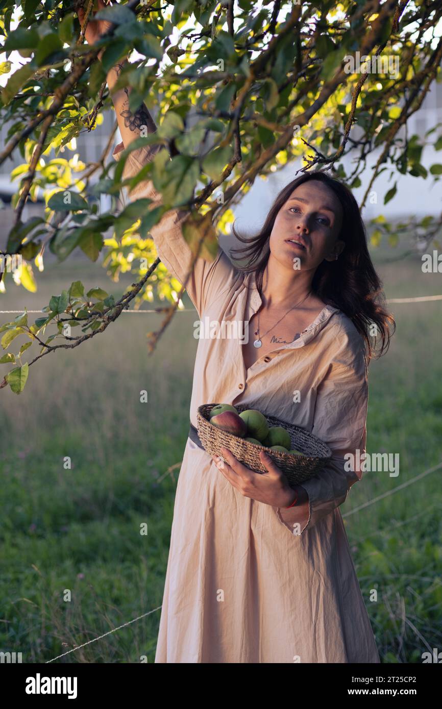 Bella ragazza nell'Apple Orchard. Una giovane donna con un bellissimo vestito chiaro raccoglie mele verdi in un cesto di vimini tra gli alberi di mele. Raccolta di un Foto Stock
