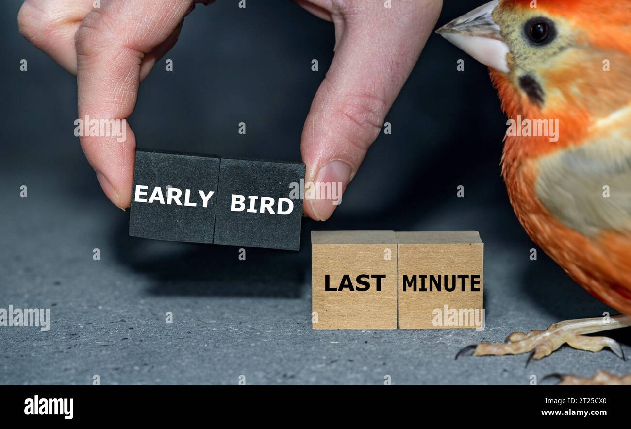 Simbolo di un'offerta di viaggio. I cubi delle foto della mano con il testo 'uccello presto ' anziché 'ultimo minuto '. Foto Stock