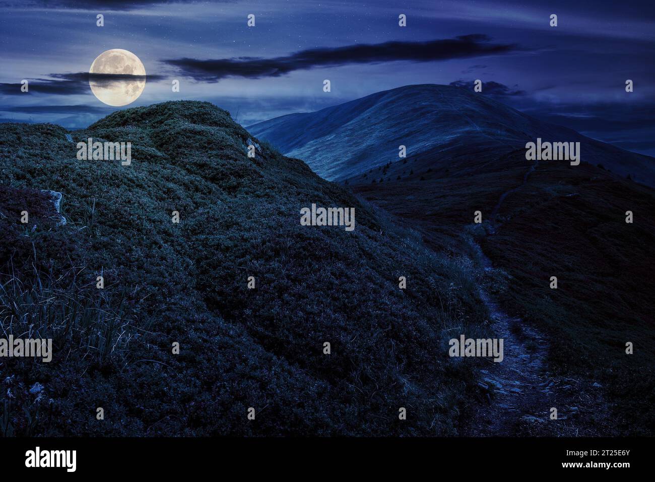 paesaggio montano estivo di notte. sentiero a piedi attraverso le colline fino alla cima della montagna. splendido paesaggio naturale con la luce della luna piena Foto Stock