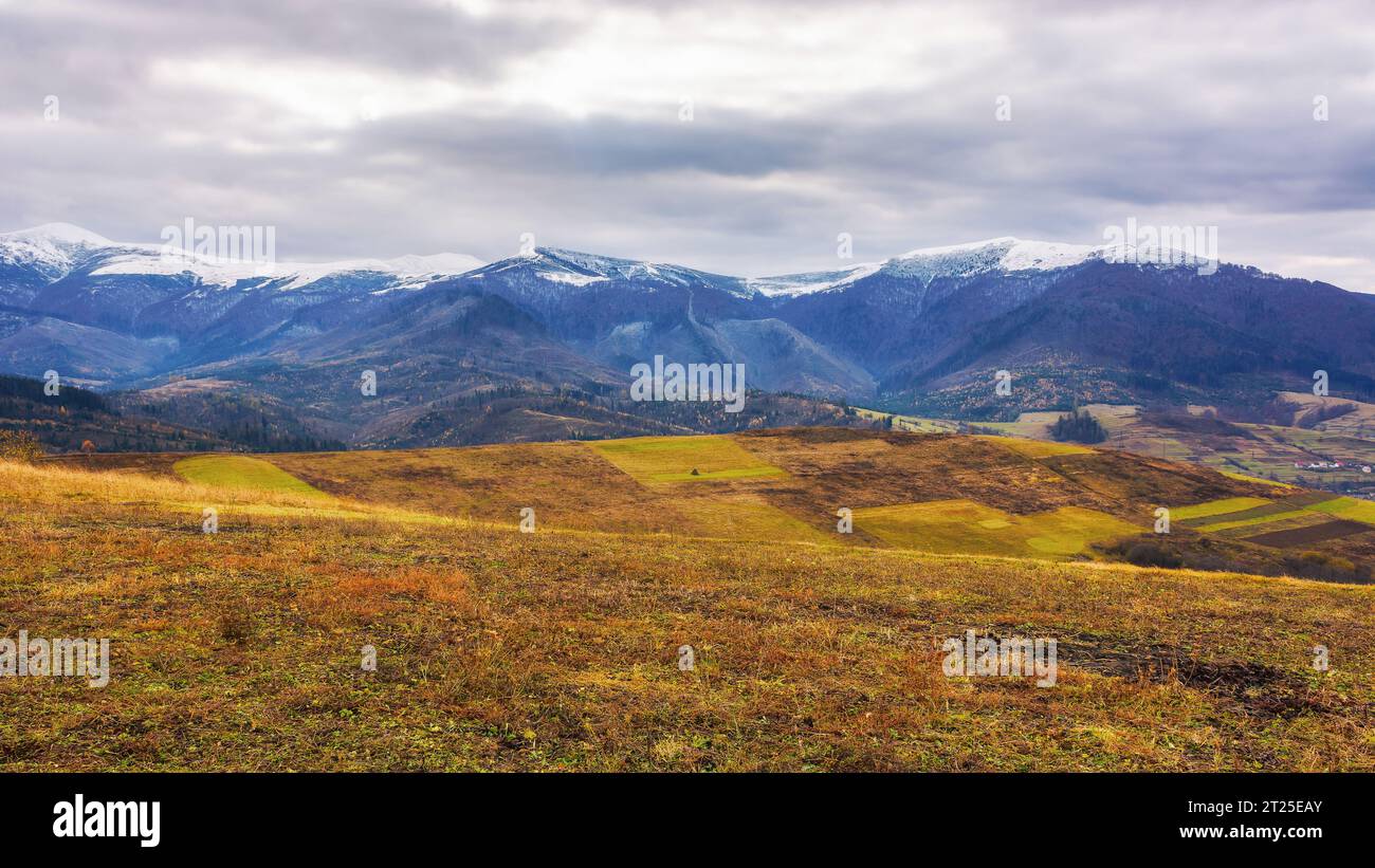 paesaggio di campagna con campi rurali sulle colline. vette innevate delle montagne dei carpazi in lontananza. scenario cupo di cresta borzhava con Foto Stock