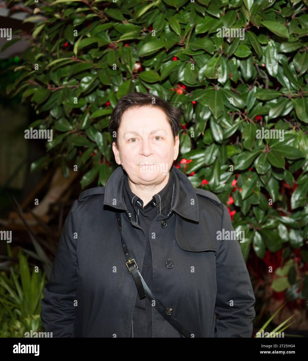 Anne Enright, FRSL, Man Booker, scrittrice irlandese vincitrice al Cheltenham Literary Festival per promuovere il suo romanzo The Wren, The Wren. Risponde a una chiamata della stampa prima del suo discorso a Cheltenham. Il 14 ottobre 2023 Anne è la prima laureata per Irish Fiction e ha pubblicato sette romanzi. Il suo quarto romanzo ha vinto il Man Booker Prize nel 2007. Foto Stock