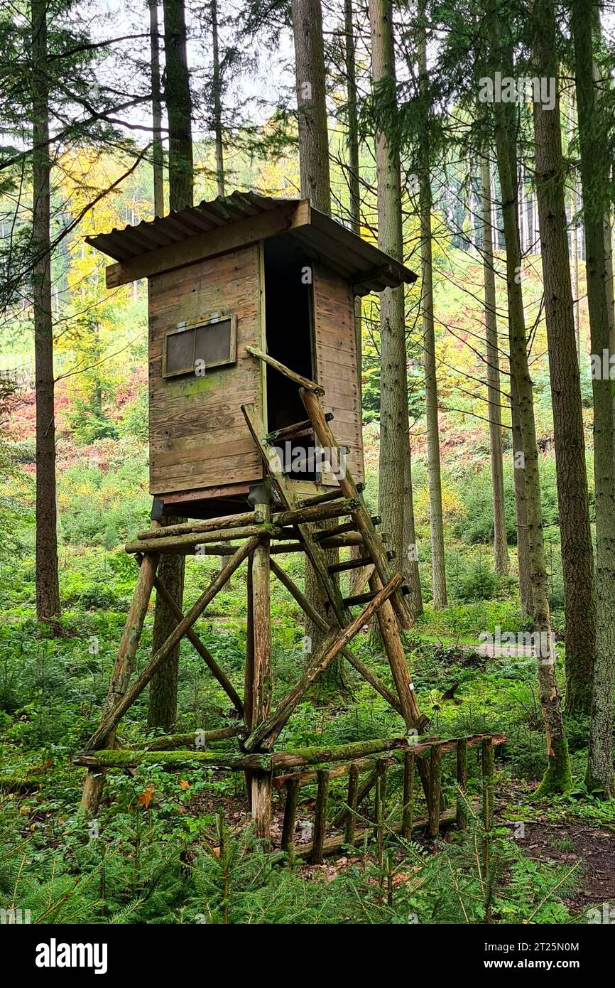 Oberirsen Themenfoto: Natur, Jagd, Hochsitz, 15.10.2023 Ein alter zerfallenener Hochsitz steht im Wald Themenfoto: Natur, Jagd, Hochsitz, 15.10.2023 *** Oberirsen tema foto natura, caccia, alto sedile, 15 10 2023 un vecchio sedile decaduto si erge nella foresta tema foto natura, caccia, alto, 15 10 2023 Copyright: xAugstx/xEibner-Pressefotox EP jat Credit: Imago/Alamy Live News Foto Stock