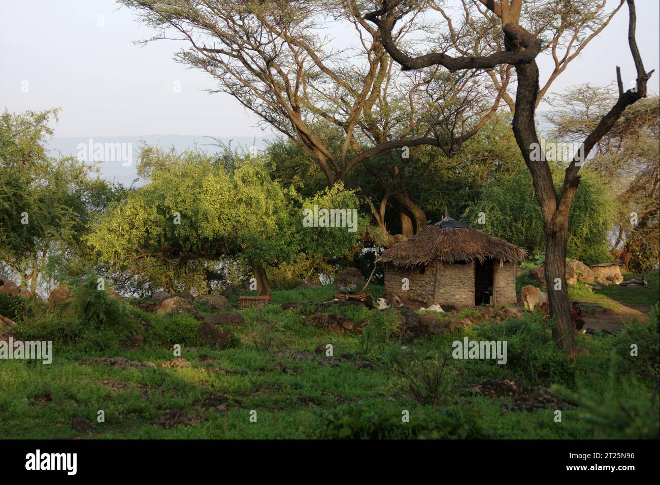 I Njemps, detti anche «EN-Jemusi», «il-Chamus», Ilchamus o Iltiamus, vivevano intorno al lago Baringo, in un luogo chiamato Marigat. Parlano Maa l Foto Stock