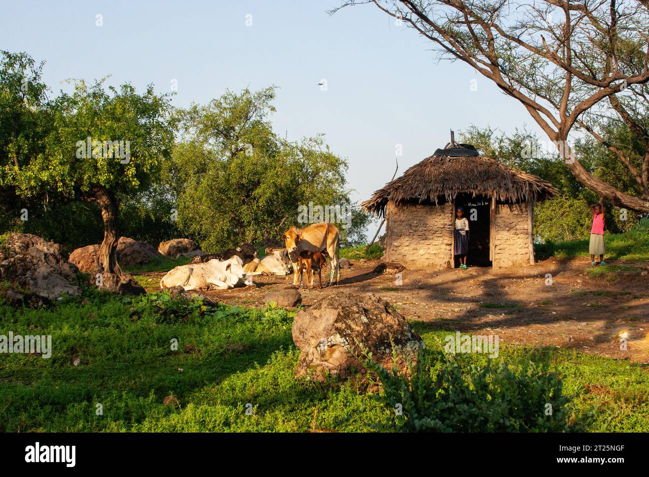 I Njemps, detti anche «EN-Jemusi», «il-Chamus», Ilchamus o Iltiamus, vivevano intorno al lago Baringo, in un luogo chiamato Marigat. Parlano Maa l Foto Stock