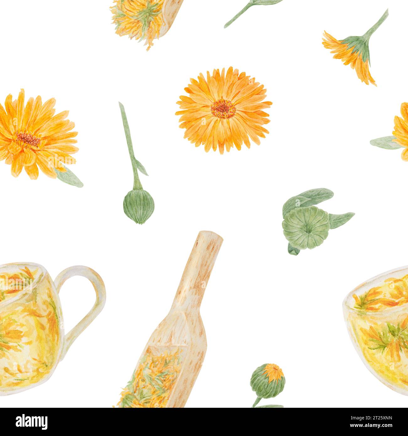 Arancia calendula officinalis in paletta di legno e per prodotti sfusi e tazza di tè in vetro. Motivo senza cuciture ad acquerello disegnato a mano. Sfondo botanico Foto Stock