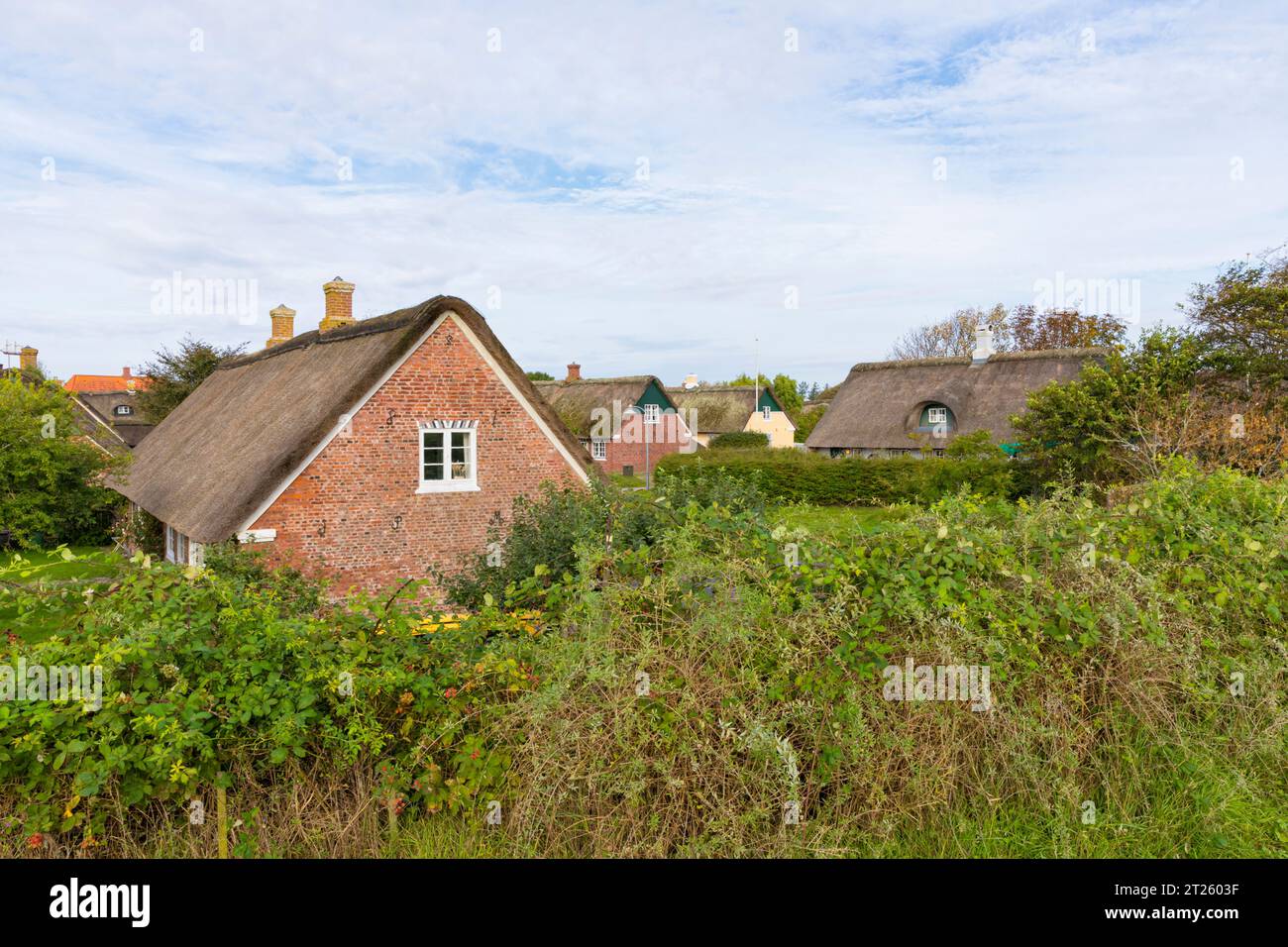 Cottage tradizionali con tetto di paglia a Sønderho, chiamato il villaggio più bello della Danimarca, sull'isola di Fanø del Mare del Nord Foto Stock