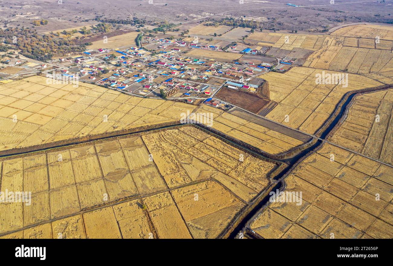 (231017) -- TONGLIAO, 17 ottobre 2023 (Xinhua) -- questa foto aerea scattata il 14 ottobre 2023 mostra risaie raccolte nella città di Jinbaotun, Horqin Left Wing Rear Banner of Tongliao City, nella regione autonoma della Mongolia interna della Cina settentrionale. Un totale di 20,3 milioni di mu (circa 1,35 milioni di ettari) di cereali nella città di Tongliao è in stagione di raccolta. Quest'anno, l'area di piantagione di mais a Tongliao ha superato i 18 milioni di mu (circa 1,2 milioni di ettari). (Xinhua/Lian Zhen) Foto Stock
