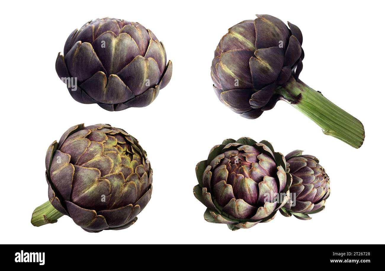 Set di carciofi, ritaglio di piante vegetali viola fresche da vicino, cibo crudo concetto di dieta biologica, percorso di ritaglio Foto Stock