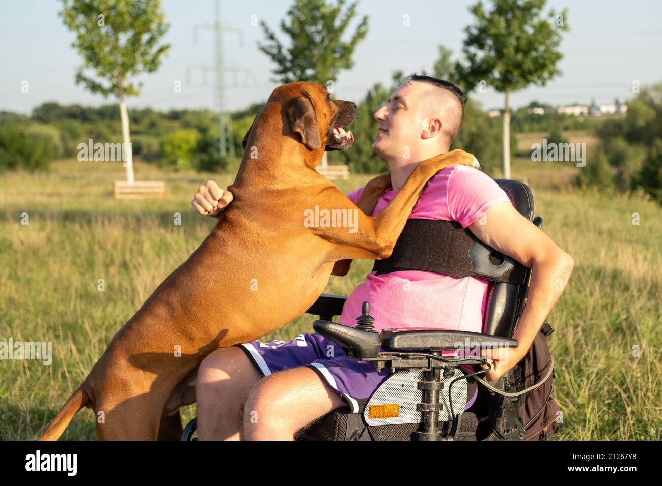 Un ragazzo giovane che usa una sedia a rotelle partecipa a giocose interazioni con il suo cane. Foto Stock