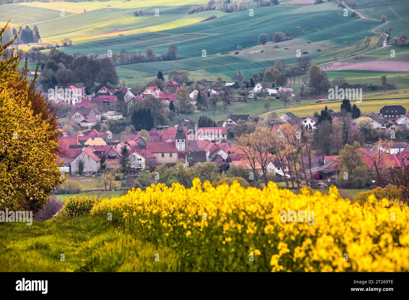 Villaggio di Vernauwahlshausen, Wesertal, Weser Uplands, Assia, Germania, Europa Foto Stock