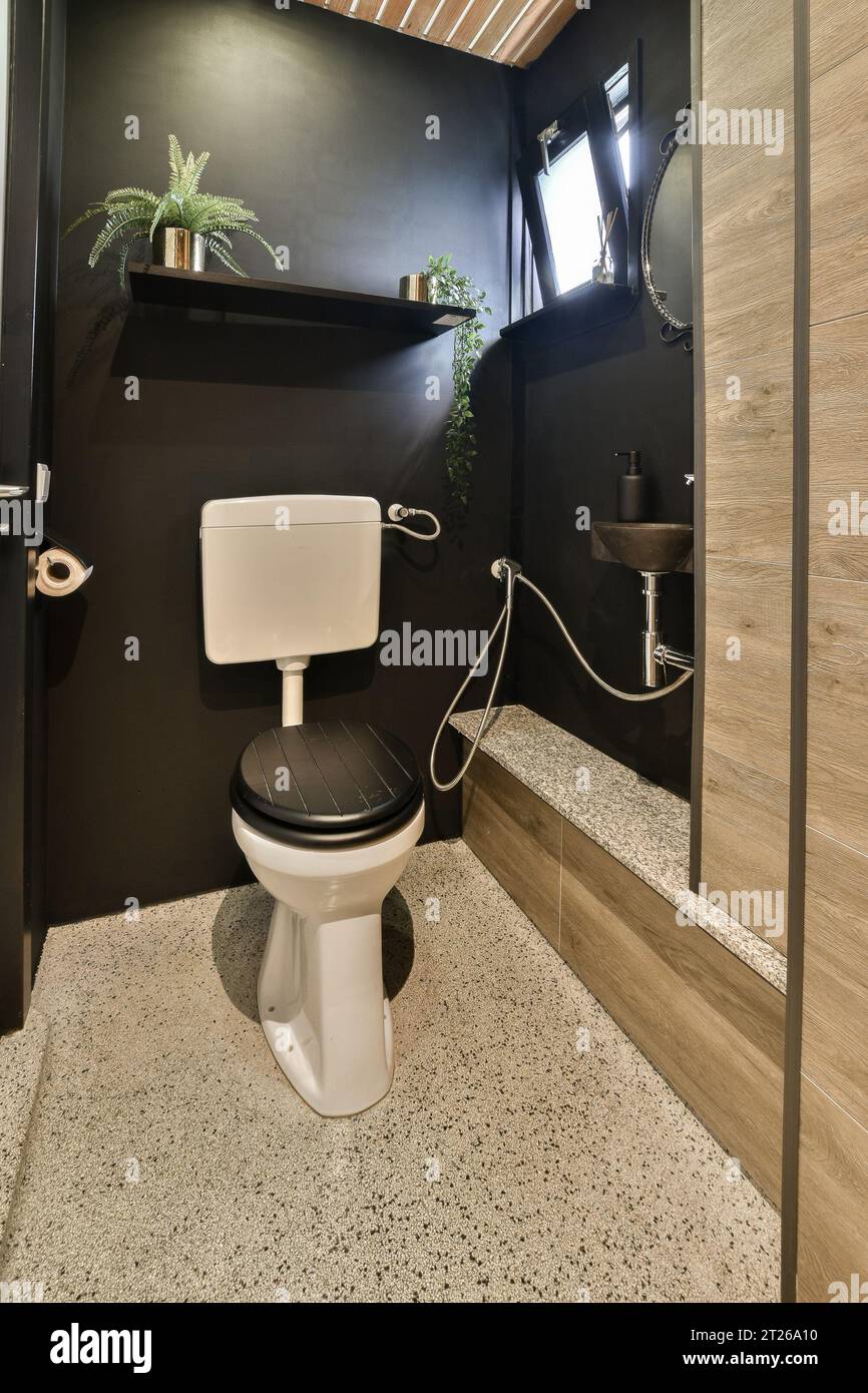 un bagno con pareti nere e pavimento bianco sulla parete, c'è una pianta nella ciotola del wc Foto Stock