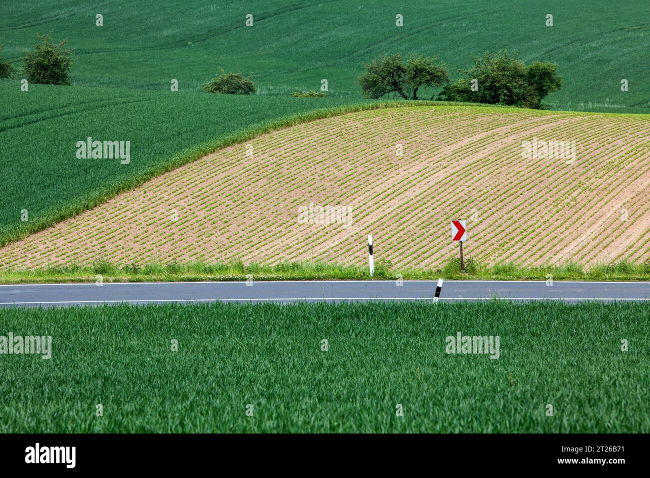 paesaggio con una strada Foto Stock
