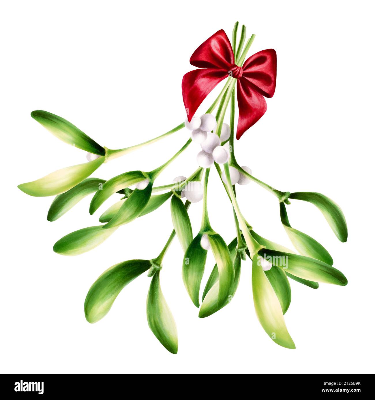 Vischio verde natalizio acquerello con fiocco di raso rosso. Illustrazione botanica di Capodanno del simbolo del bacio isolato su sfondo bianco. Per i progettisti Foto Stock