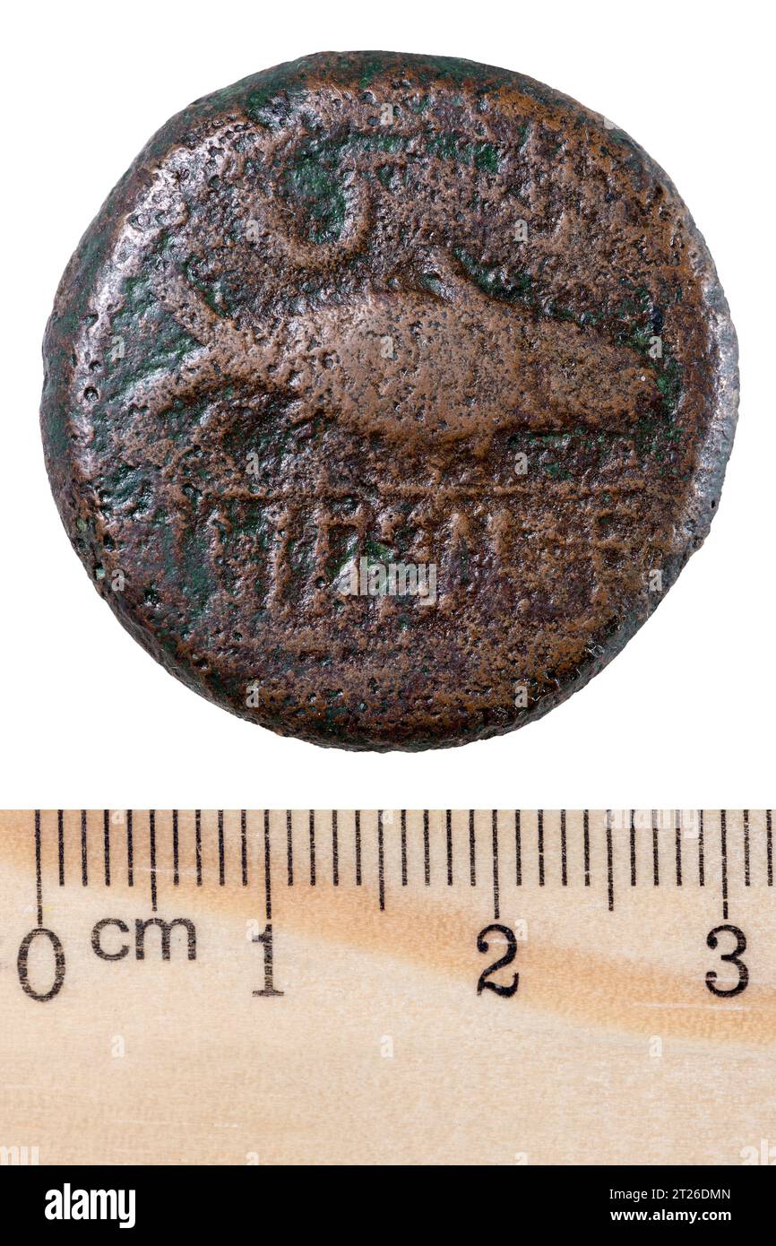 Un'antica moneta iberica raffigurante orecchie di tonno e grano. Dritto. Isolato su bianco Foto Stock