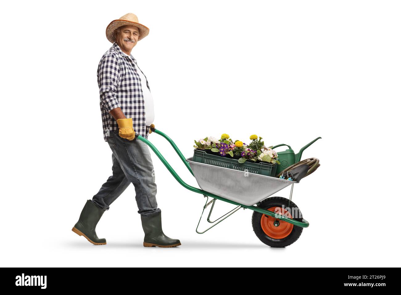 L'immagine completa di un agricoltore maturo che spinge una carriola con piante e innaffiatura può essere isolata su sfondo bianco Foto Stock