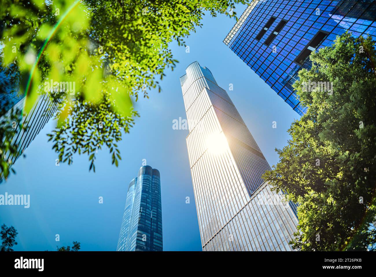 Gli edifici di uffici a Manhattan riflettono la luce del sole che filtra attraverso le foglie degli alberi in primo piano Foto Stock