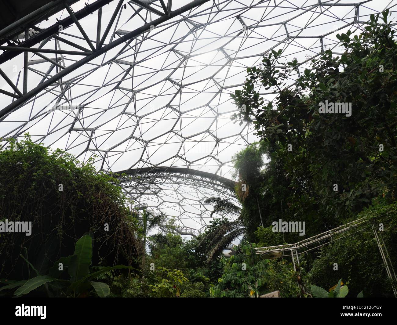 Ammira la cupola della foresta pluviale dell'Eden Project, Bodelva, St Austell, Cornovaglia, Inghilterra Foto Stock