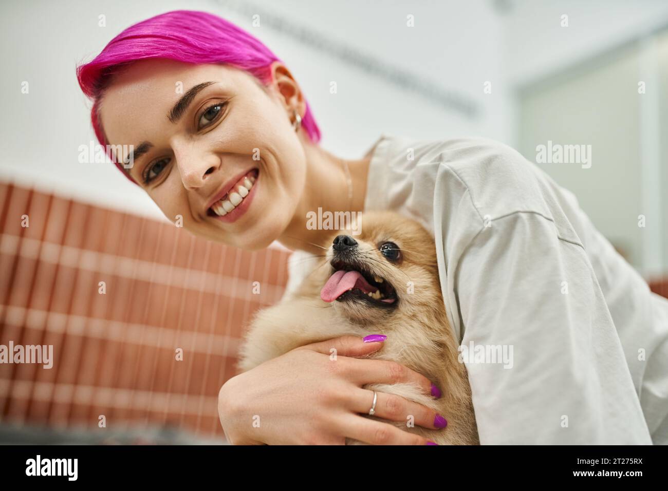 allegra donna dai capelli viola che abbraccia un adorabile cane in un hotel per animali domestici, affetto da pet-sitter Foto Stock