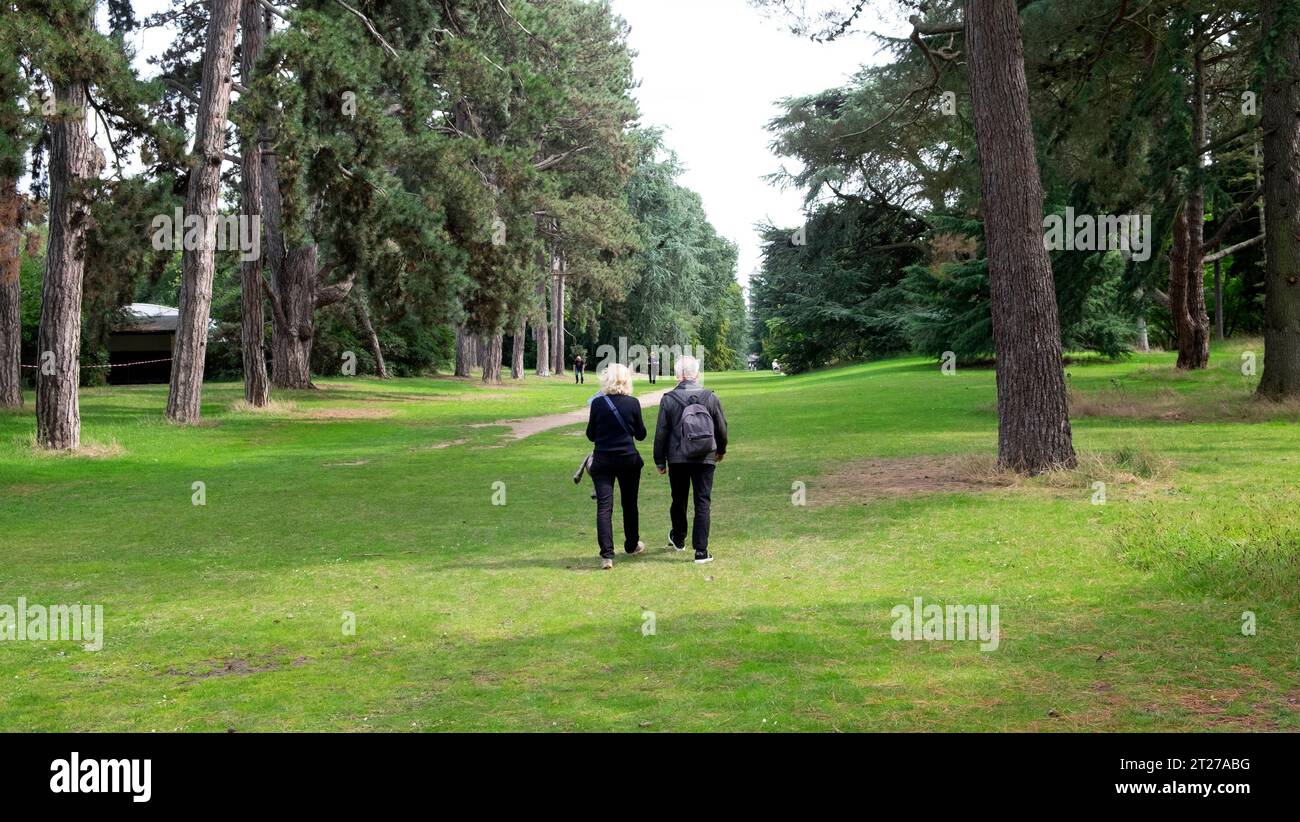 Vista posteriore di coppie anziane che passeggiano nell'area boschiva lungo l'area alberata dei giardini botanici reali di Kew in estate West London Inghilterra Regno Unito Foto Stock