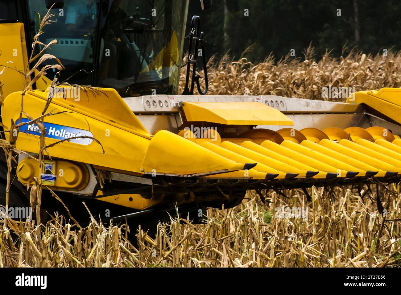 Mato grosso, Brasile, 1 maggio 2008. La mietitrebbiatrice New Holland raccoglie mais nel campo di un'azienda agricola nello stato del Mato grosso, Brasile Foto Stock