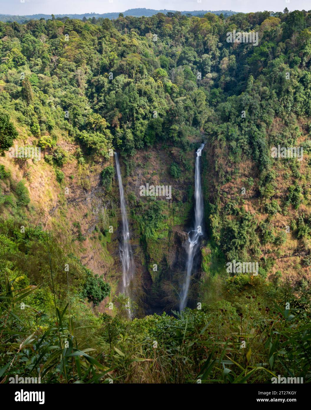 Due cascate da 120 metri, nel Parco Nazionale di Dong Hua Sao sull'Altopiano di Bolaven. Che cadono in una profonda gola, splendide vedute dal resort di Tad Fane Foto Stock