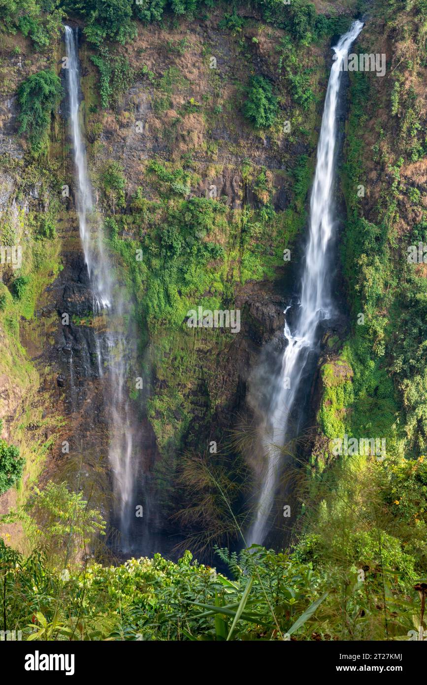Due cascate da 120 metri, nel Parco Nazionale di Dong Hua Sao sull'Altopiano di Bolaven. Che cadono in una profonda gola, splendide vedute dal resort di Tad Fane Foto Stock