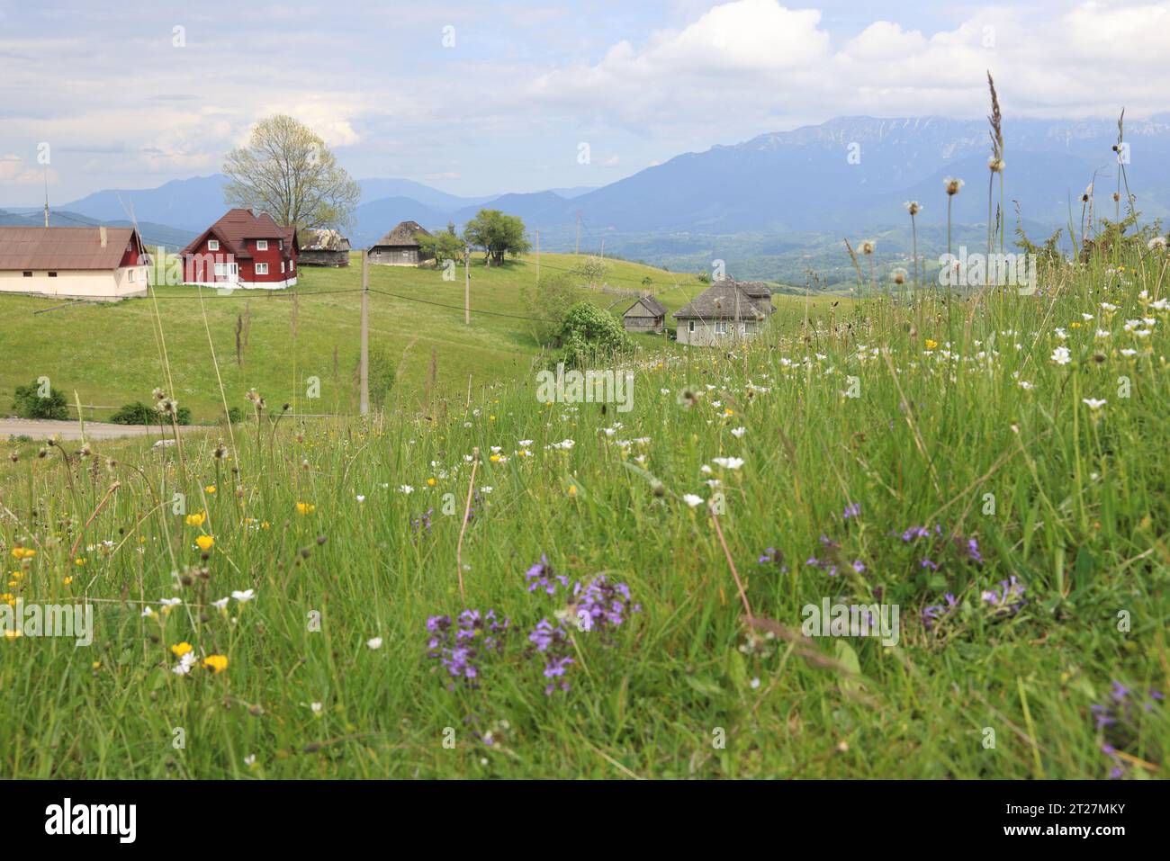 La splendida campagna di Fundata, un comune della contea di Brasov, nella regione storica della Transilvania. Il posto offre panorami montani. Foto Stock