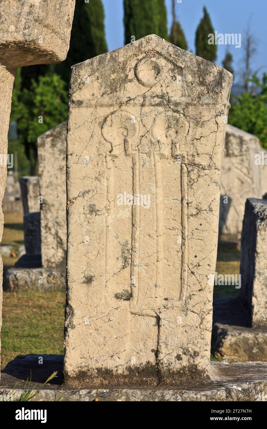 Un sarcofago medievale splendidamente inciso presso la necropoli stecak di Radimlja vicino a Stolac, Bosnia ed Erzegovina Foto Stock