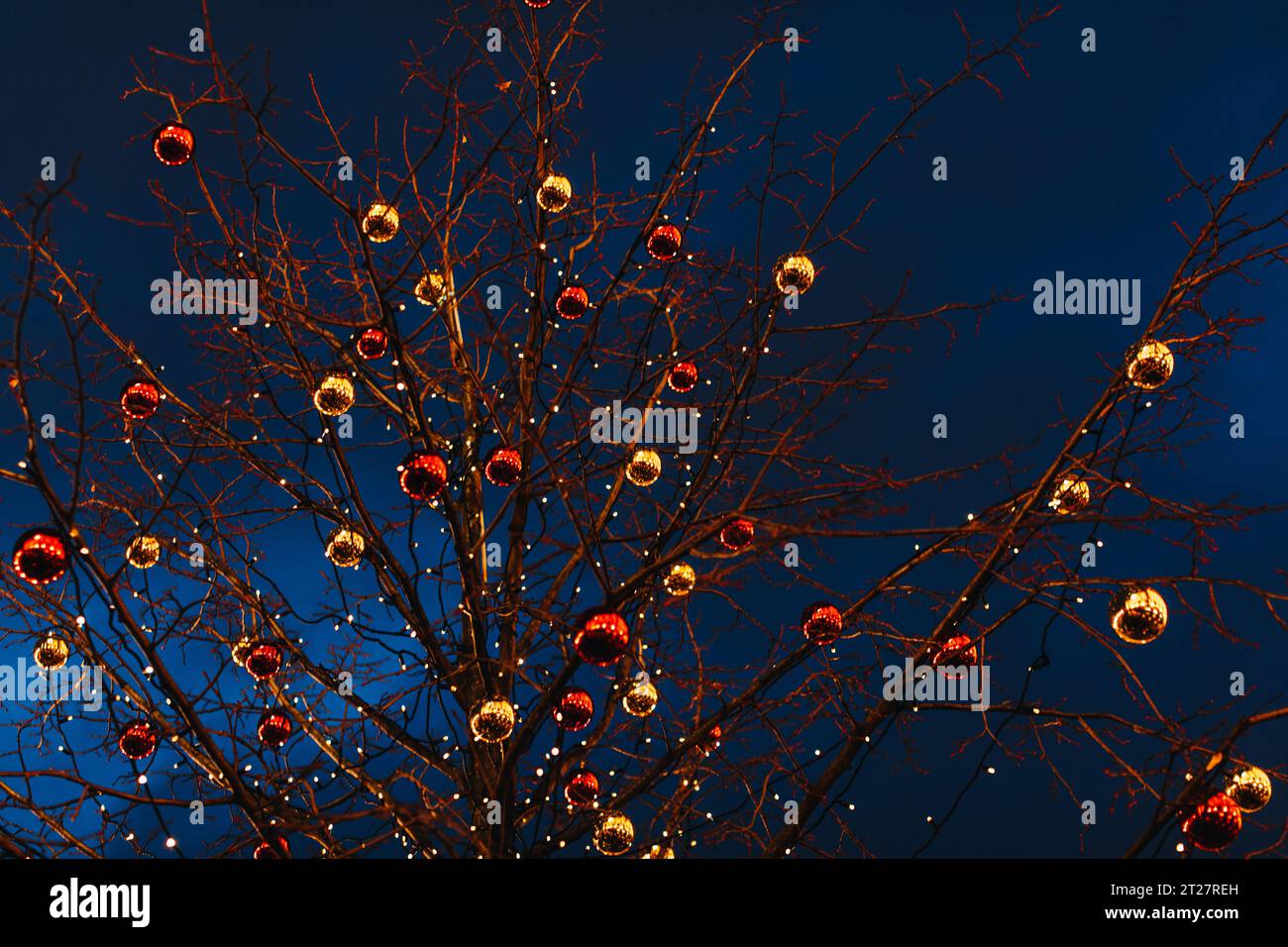 Rami di alberi secchi decorati con palline scintillanti rosse e dorate di Natale. Decorazioni festive all'aperto di Capodanno contro un cielo notturno blu. Magica W Foto Stock