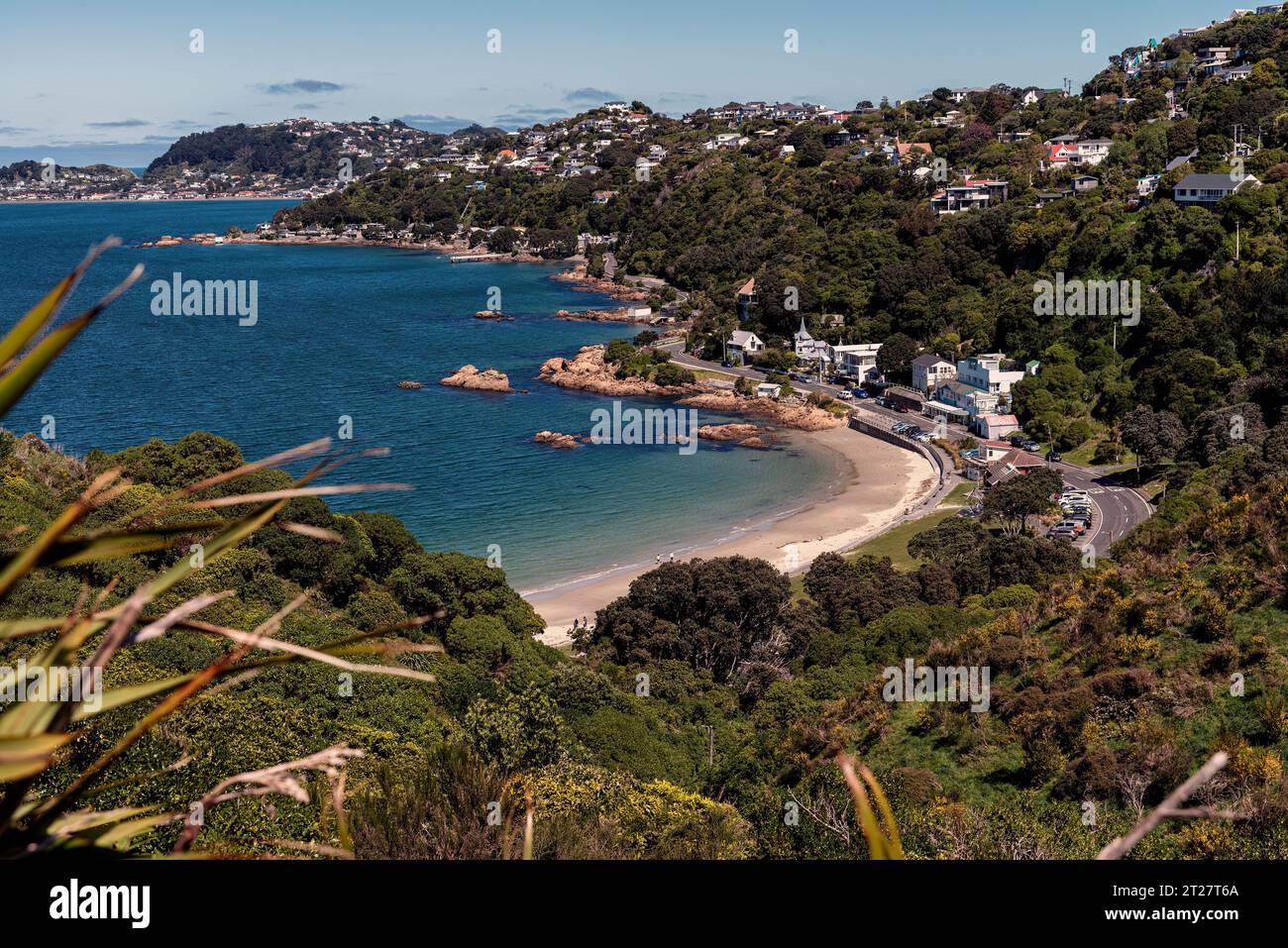 Scorching Bay, Karaka Bay area, Miramar Peninsula, Wellington, nuova Zelanda Foto Stock