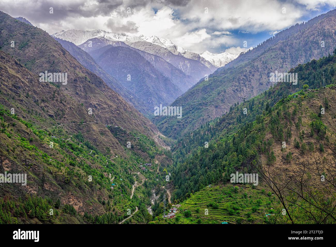 Guardando giù nella valle verso la frazione di Gushaini, dalla strada Sharchi in Himachal Pradesh Foto Stock