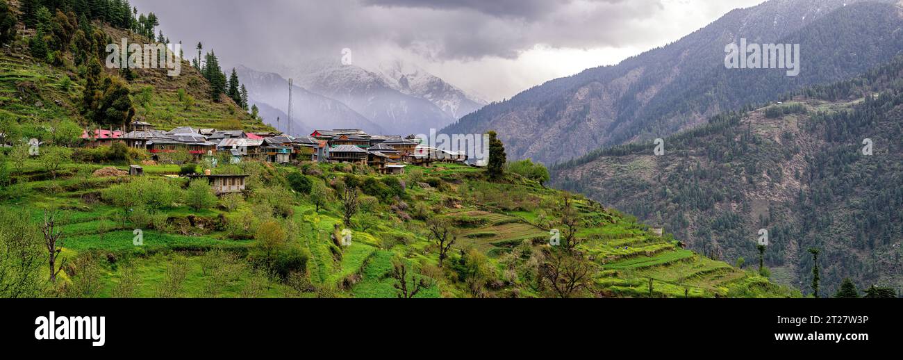Paesaggio terrazzato e frutteti di mele intorno al villaggio di Sharchi in Himachal Pradesh Foto Stock