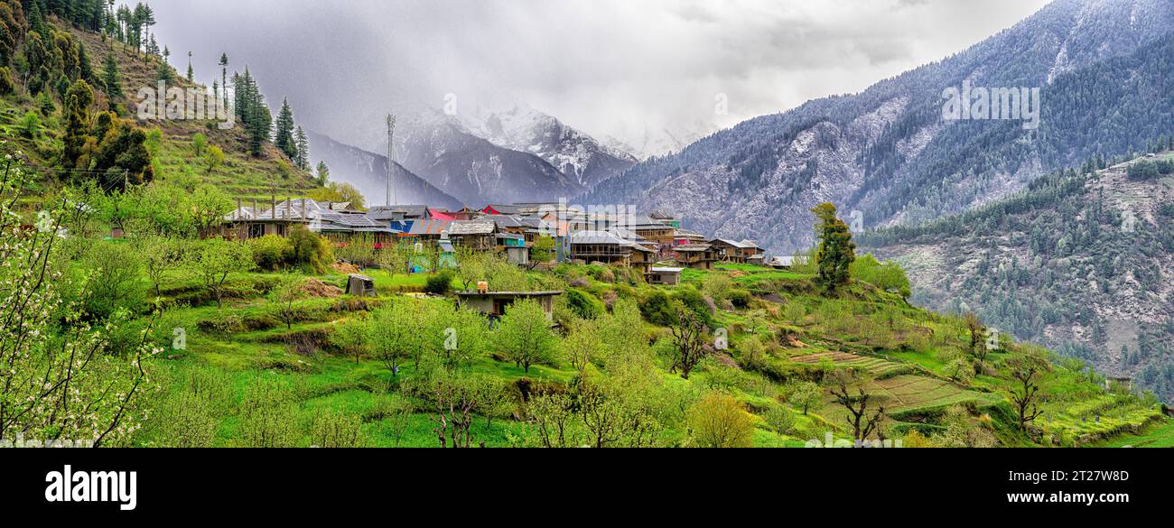 Villaggio di Sharchi nell'area della Tirthan Valley della catena montuosa dell'Himalaya Foto Stock