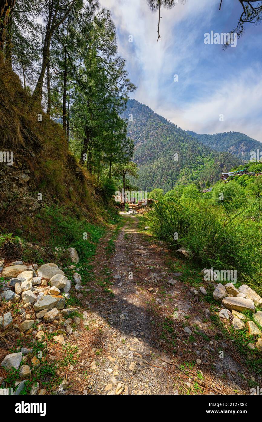 Sentiero per passeggiate nell'Himalaya vicino ai Cottages di pesca sulle rive del torrente Kalwari Foto Stock