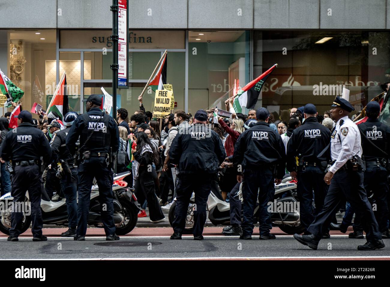 Protesta palestinese a NEW YORK Foto Stock