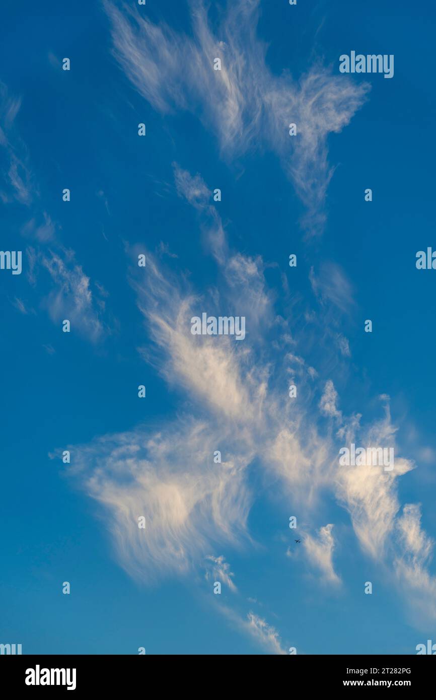Un aereo con formazioni di nuvole di cirrus sul lago Washington a Kirkland, nello Stato di Washington, Stati Uniti. Foto Stock