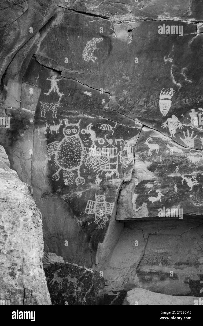 Pannello Owl. Petroglyph trovato nel Nine Mile Canyon, la più grande galleria d'arte all'aperto del mondo, West Tavaputs Plateau, vicino a Price, Utah, Stati Uniti. Foto Stock