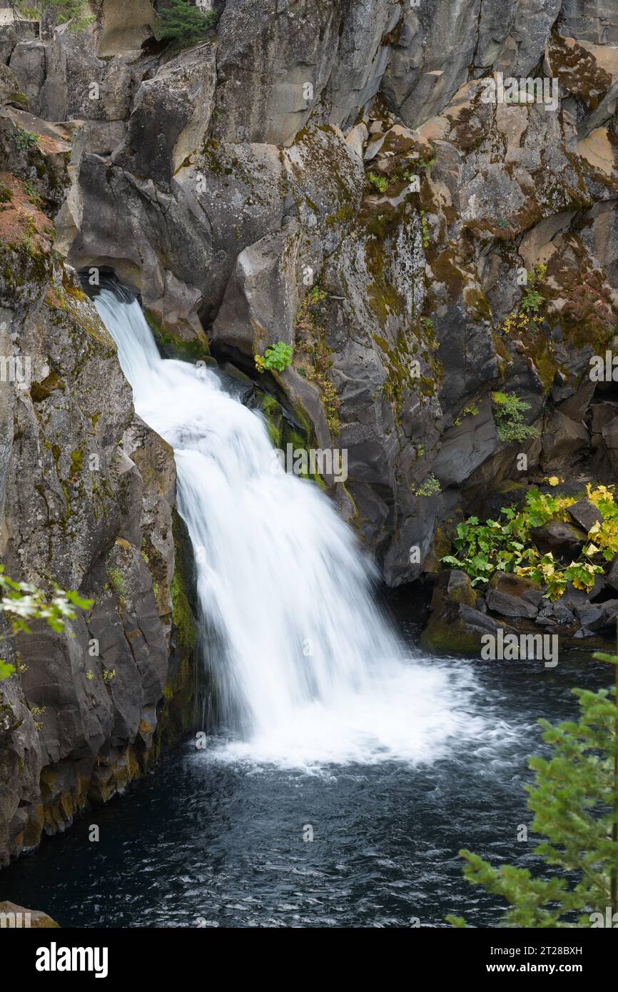 Cascate superiori sul canyon del fiume McCloud nella contea di Siskiyou, California, con un flusso morbido e regolare Foto Stock