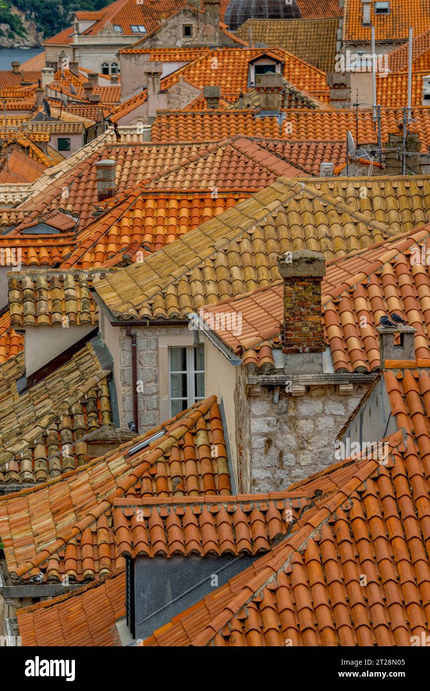 Vista dalla passeggiata delle mura della città dei tetti piastrellati nella città vecchia di Dubrovnik, nella Croazia meridionale. Foto Stock