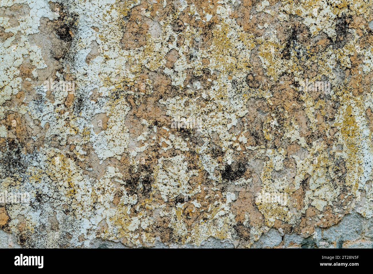 Vista dalla passeggiata delle mura della città di un vecchio muro (dettaglio) nella città vecchia di Dubrovnik, nella Croazia meridionale. Foto Stock