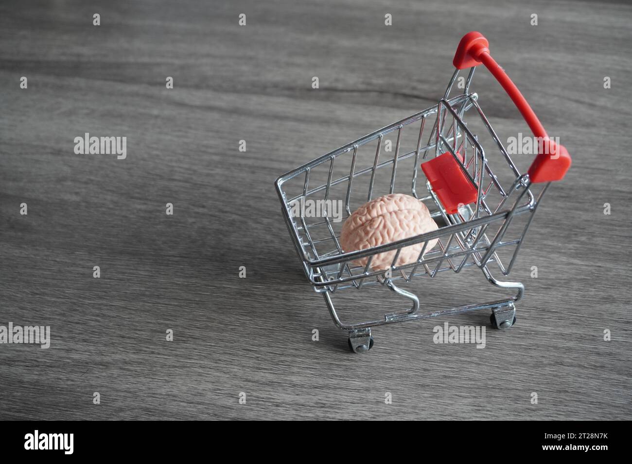 Un cervello umano all'interno dei carrelli della spesa. Comportamento del consumatore, acquisto impulsivo e concetto di dipendenza dallo shopping. Foto Stock
