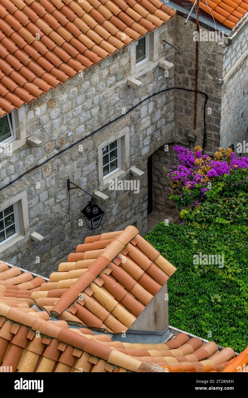 Vista dalla passeggiata delle mura della città dei tetti piastrellati e delle bouganville nella città vecchia di Dubrovnik, nella Croazia meridionale. Foto Stock