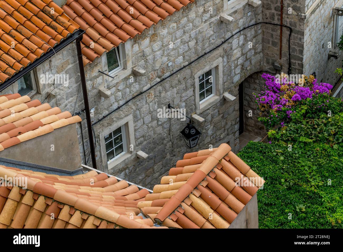 Vista dalla passeggiata delle mura della città dei tetti piastrellati e delle bouganville nella città vecchia di Dubrovnik, nella Croazia meridionale. Foto Stock