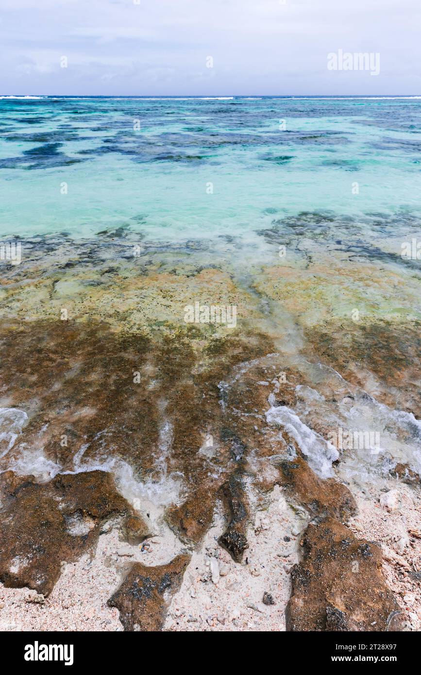 Paesaggio costiero con rocce sottomarine. Vista sulla spiaggia di Anse Union, isola di la Digue, Seychelles. Foto verticale Foto Stock