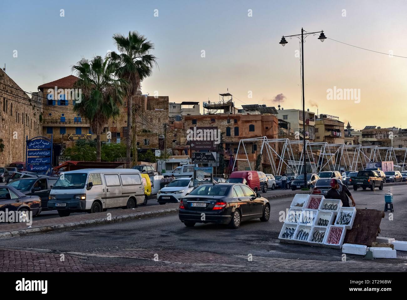 Pescatore che vende pesce su Counrniche El Baher tra il traffico serale di pendolari e le mura della città vecchia di Sidone al tramonto. Dicembre 2022 Foto Stock