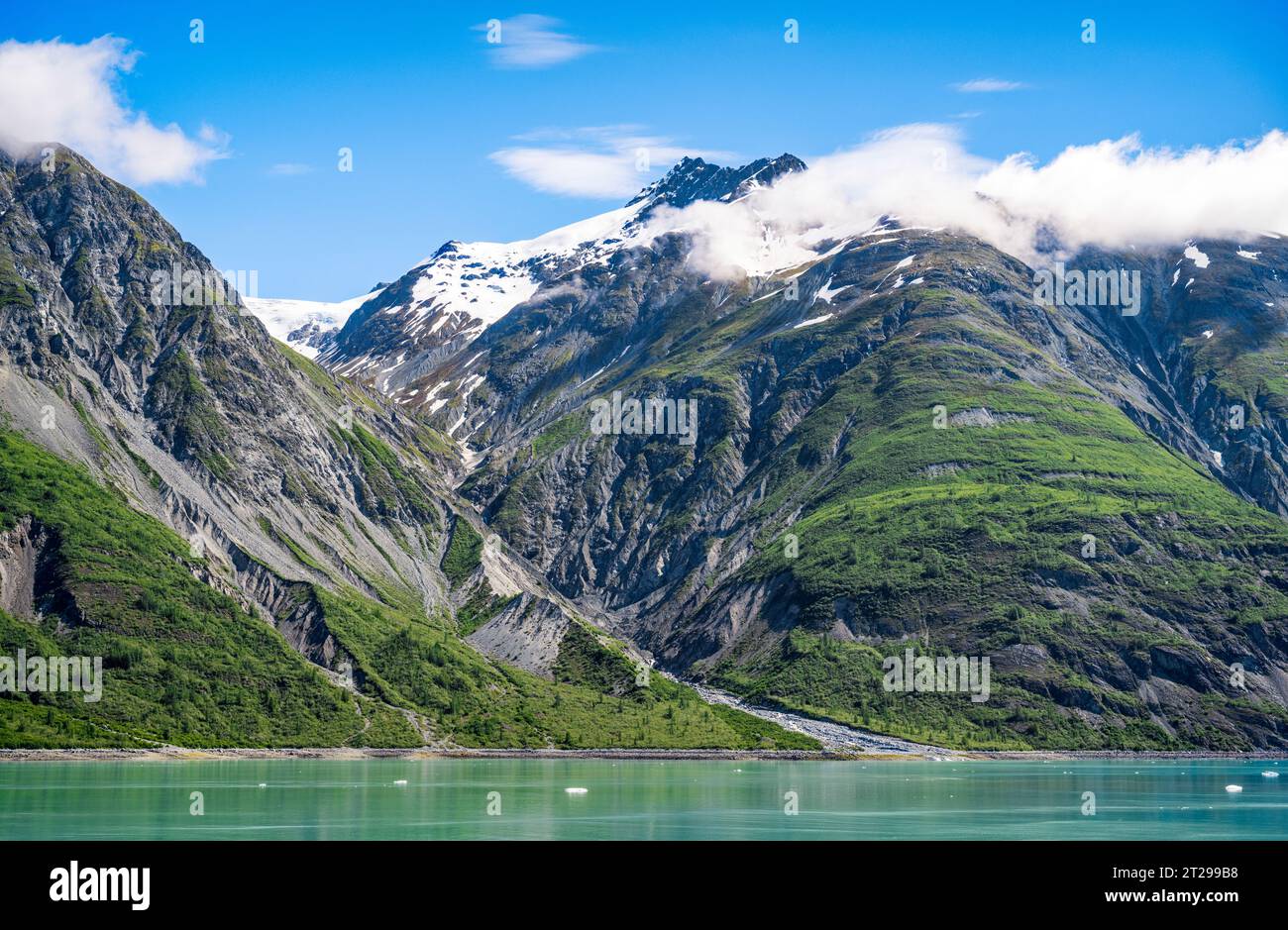 Spettacolari cime e valli di Tarr Inlet, Glacier Bay National Park and Preserve, Alaska, USA. Foto Stock