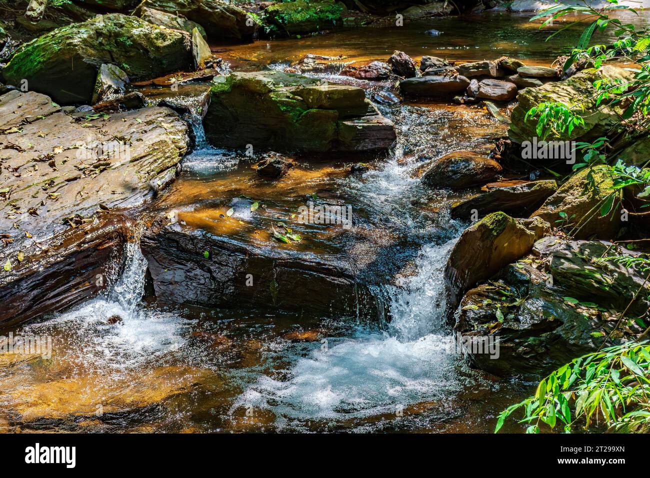 Acqua fluviale che scorre attraverso rocce e vegetazione illuminata dal sole Foto Stock