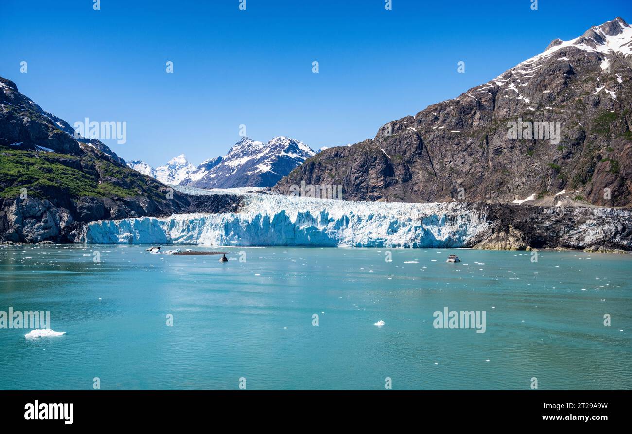 Il ghiacciaio Margerie è un ghiacciaio con acqua di marea lungo circa 21 km situato a Glacier Bay, Alaska, Stati Uniti, all'interno del Glacier Bay National Park and Preserve. Foto Stock