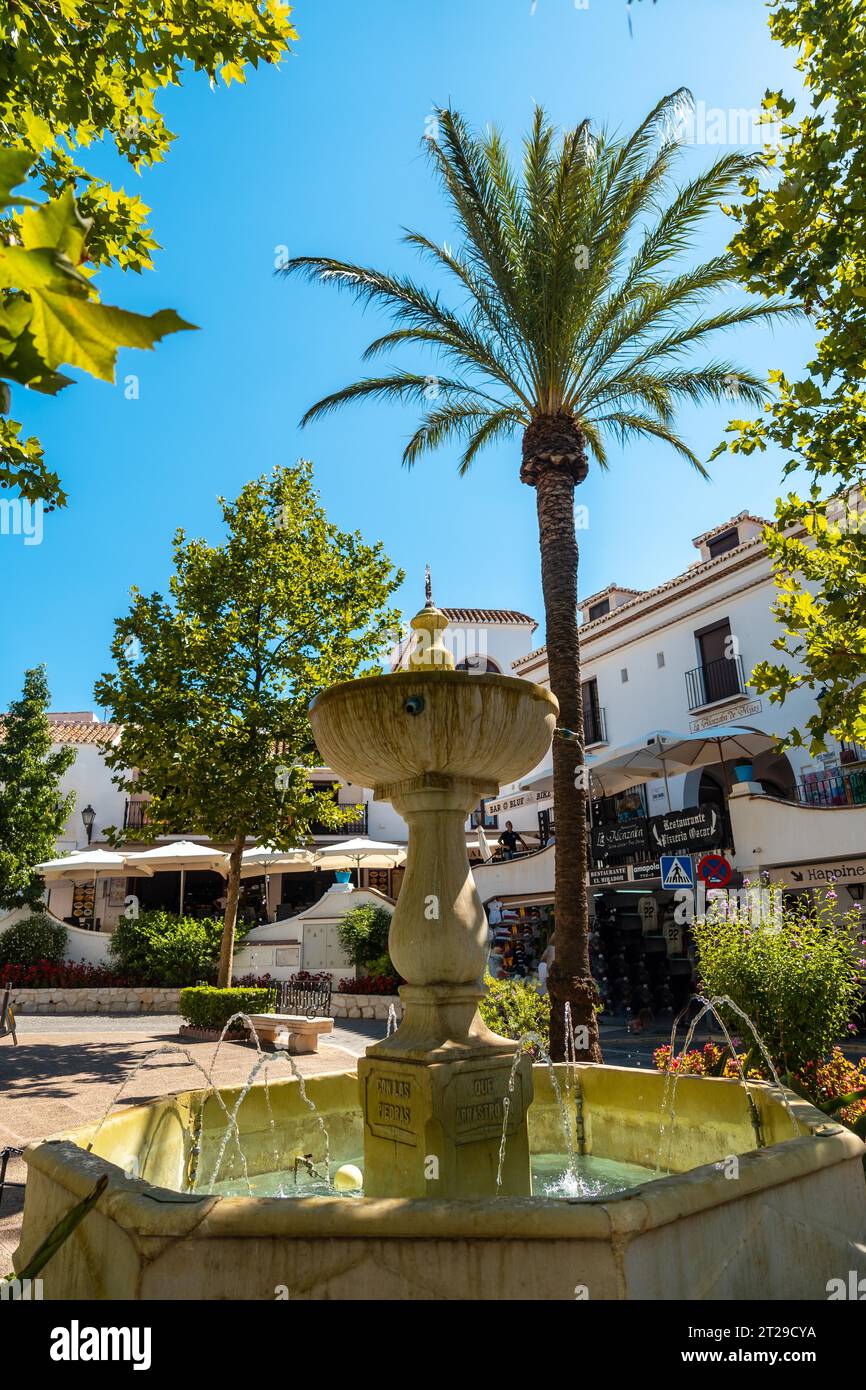 Una fontana e una palma nell'affascinante provincia di Malaga, Andalusia Foto Stock
